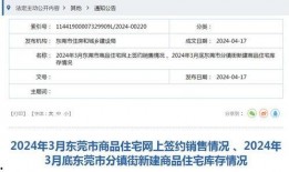 东莞最新爆料,揭秘城市变革背后的故事