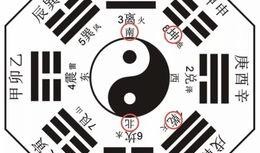 八卦民间爆料最新,最新八卦民间爆料大起底