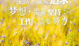 早安最新爆料图片大全集,最新图片大全集精彩瞬间回顾